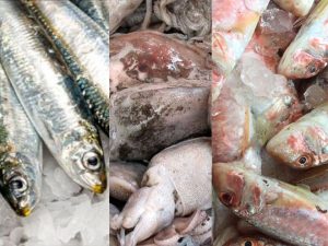 Μεσογειακή διατροφή και Όραση-Ψάρια